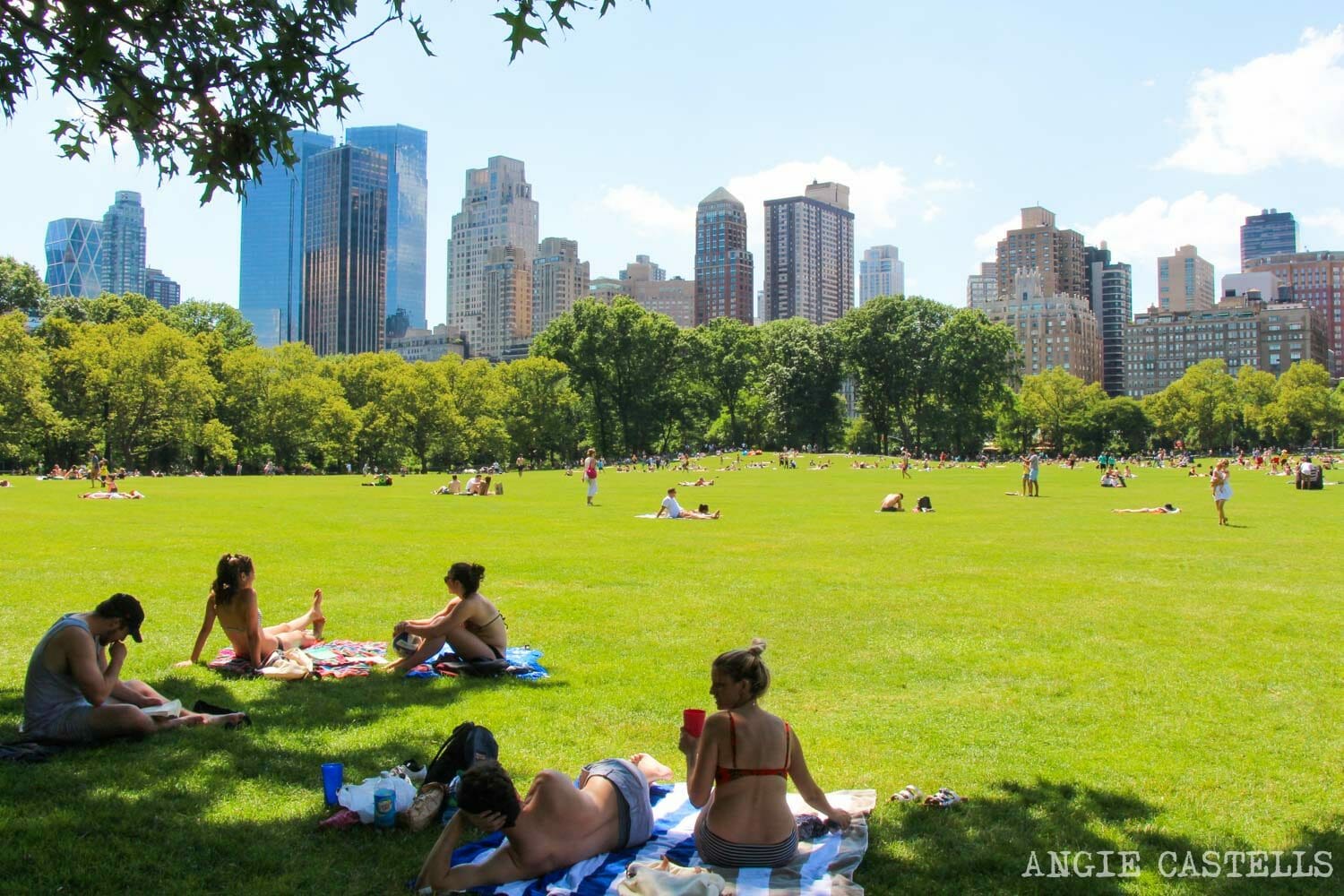 Julio en Nueva York Qué hacer y tiempo (2019) Julio en Nueva York Qué hacer y tiempo (2019)