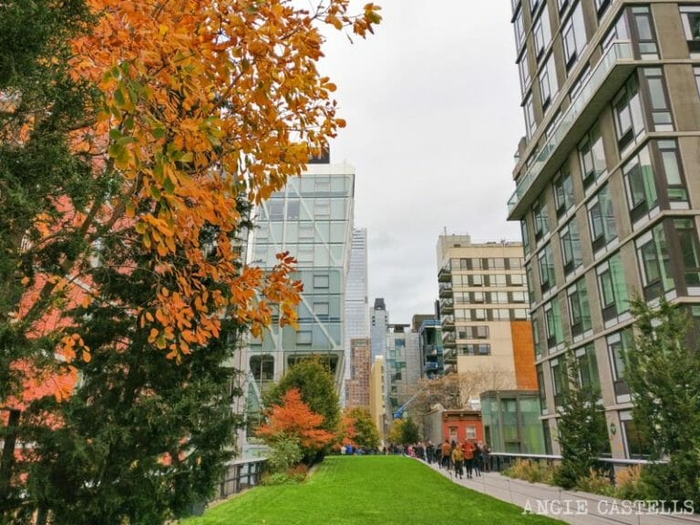 Guía del otoño en Nueva York Festivales, tiempo y paseos