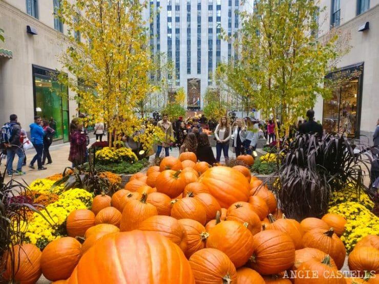 Guía del otoño en Nueva York (2026) Qué hacer y