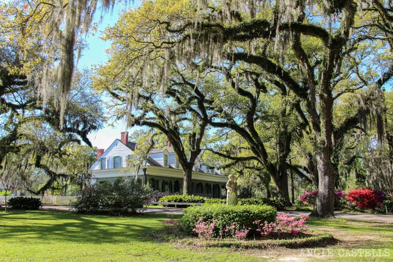 Las mejores plantaciones de Louisiana The Myrtles 4
