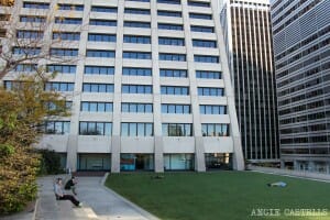 Elevated Acre Jardin secreto Nueva York-1