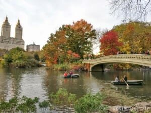 Noviembre en Nueva York Central Park