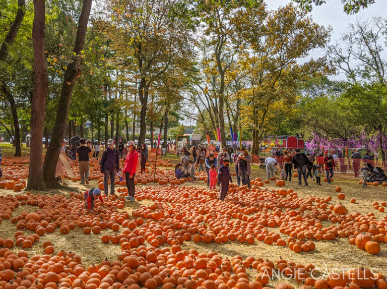 Halloween en Nueva York (2024) Cómo celebrarlo + decoraciones