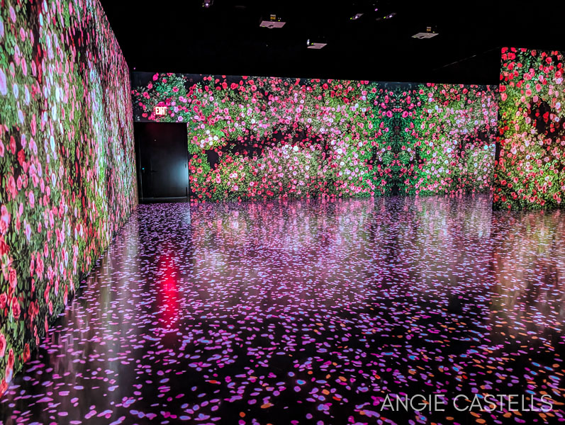 Visitar el Arte Museum de Nueva York