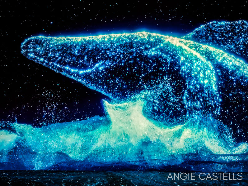 Visitar el Arte Museum de Nueva York