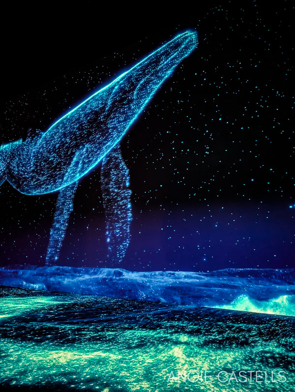 Visitar el Arte Museum de Nueva York